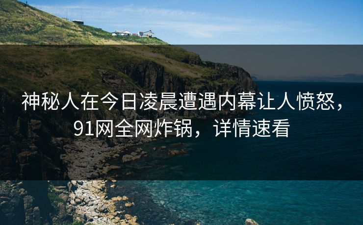 神秘人在今日凌晨遭遇内幕让人愤怒，91网全网炸锅，详情速看