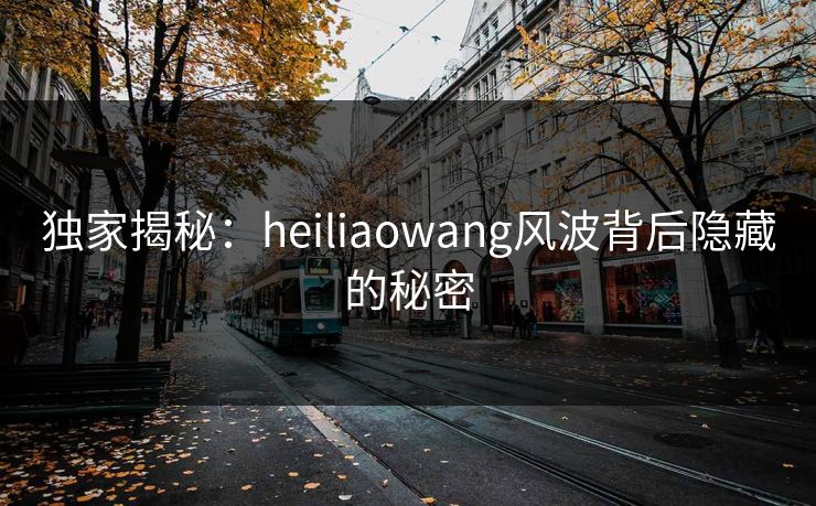 独家揭秘：heiliaowang风波背后隐藏的秘密