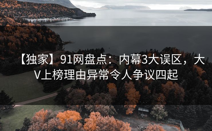 【独家】91网盘点：内幕3大误区，大V上榜理由异常令人争议四起