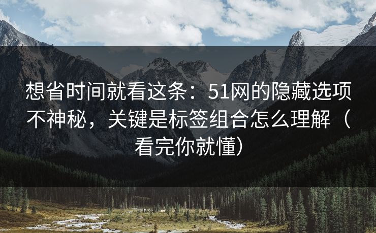 想省时间就看这条：51网的隐藏选项不神秘，关键是标签组合怎么理解（看完你就懂）